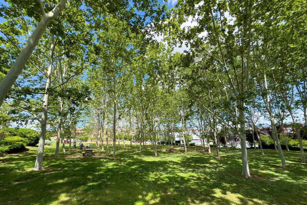 El parc de Can Fatjó és un dels 25 espais amb ombra que formen part de la xarxa de refugis climàtics